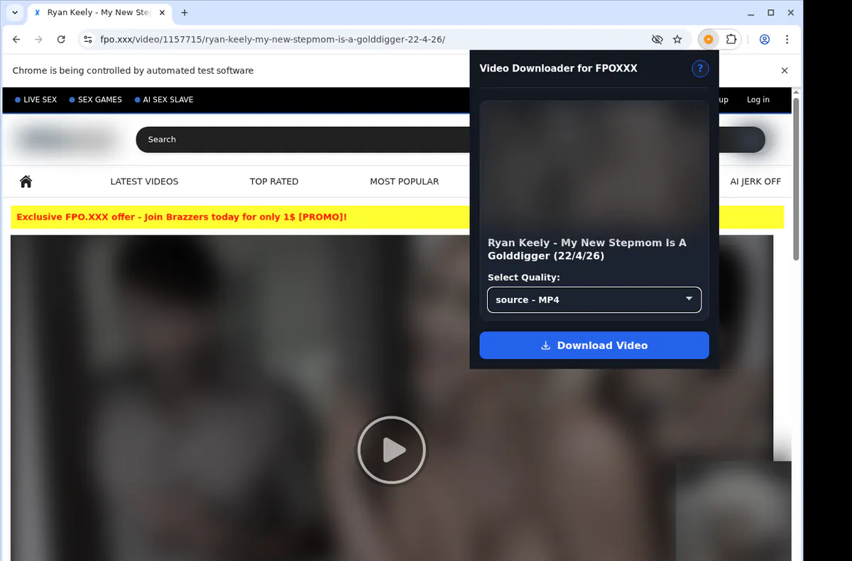 Fpoxxx Video Downloader browser extension screenshot 3